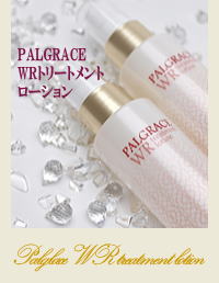 PALGLACE WRg[gg[V